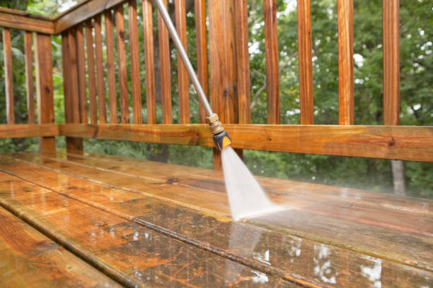 Best Solar Panel Cleaning  in Washington Park, FL
